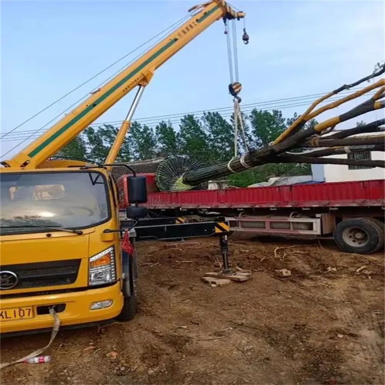 浩口原种场100吨吊车租赁费用怎么算？3大关键因素+省钱技巧全解析